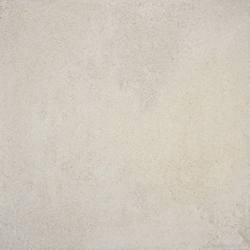 Terra Bone