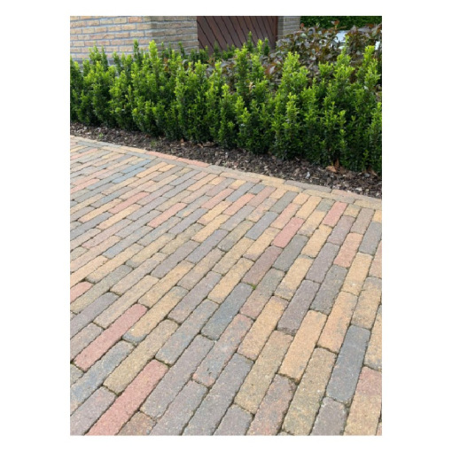 Stonehedge multicolor