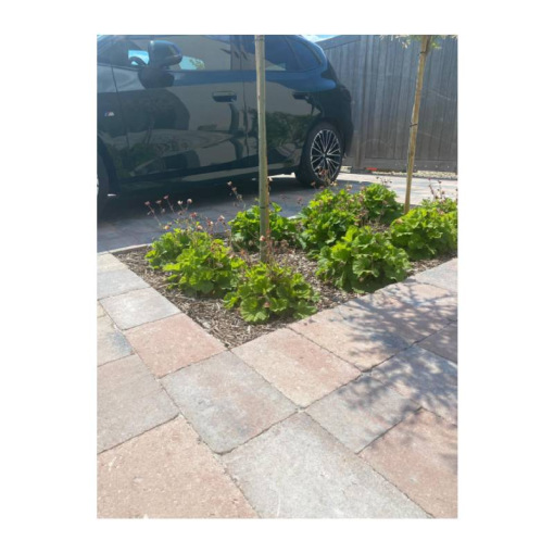 Stonehedge Tavo